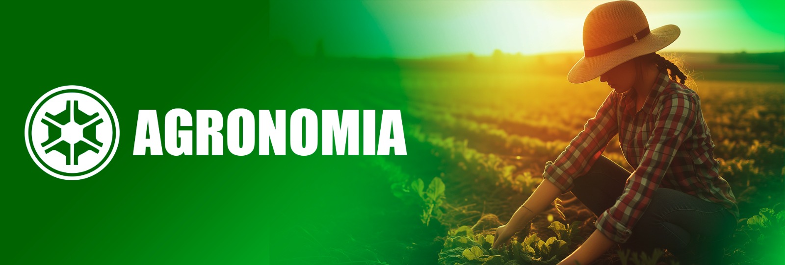 AGRONOMIA